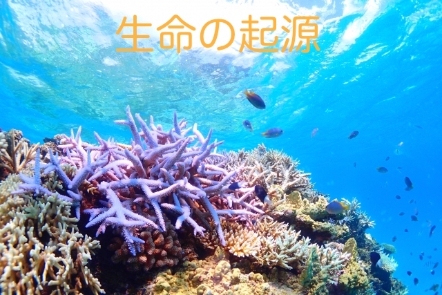 塩は生命の起源