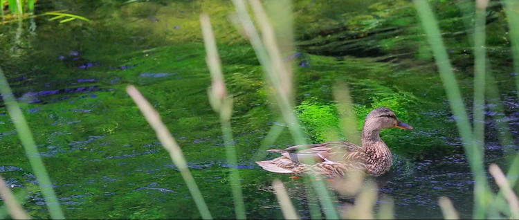 美容ソルトの工場見学3